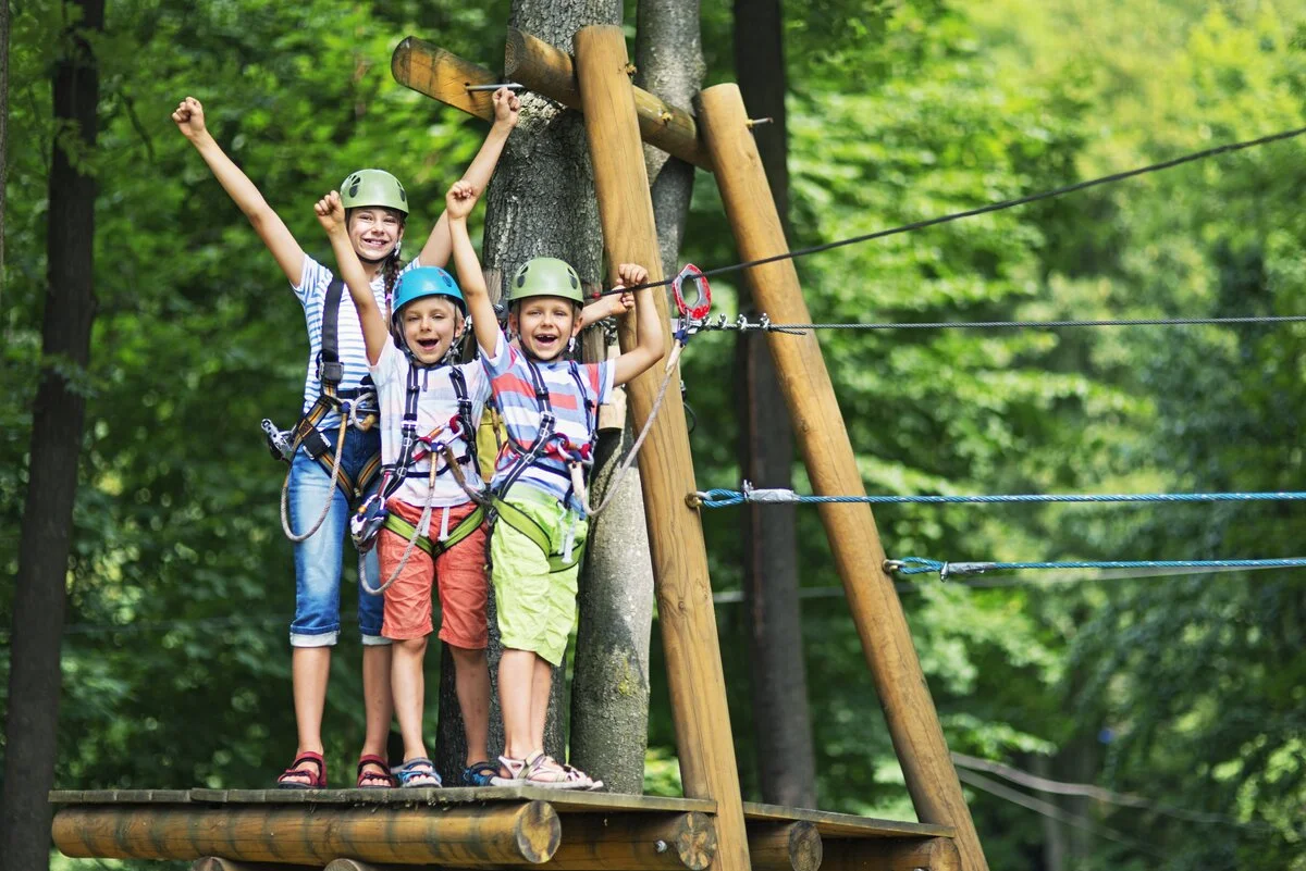 Kids at treetop adventure park