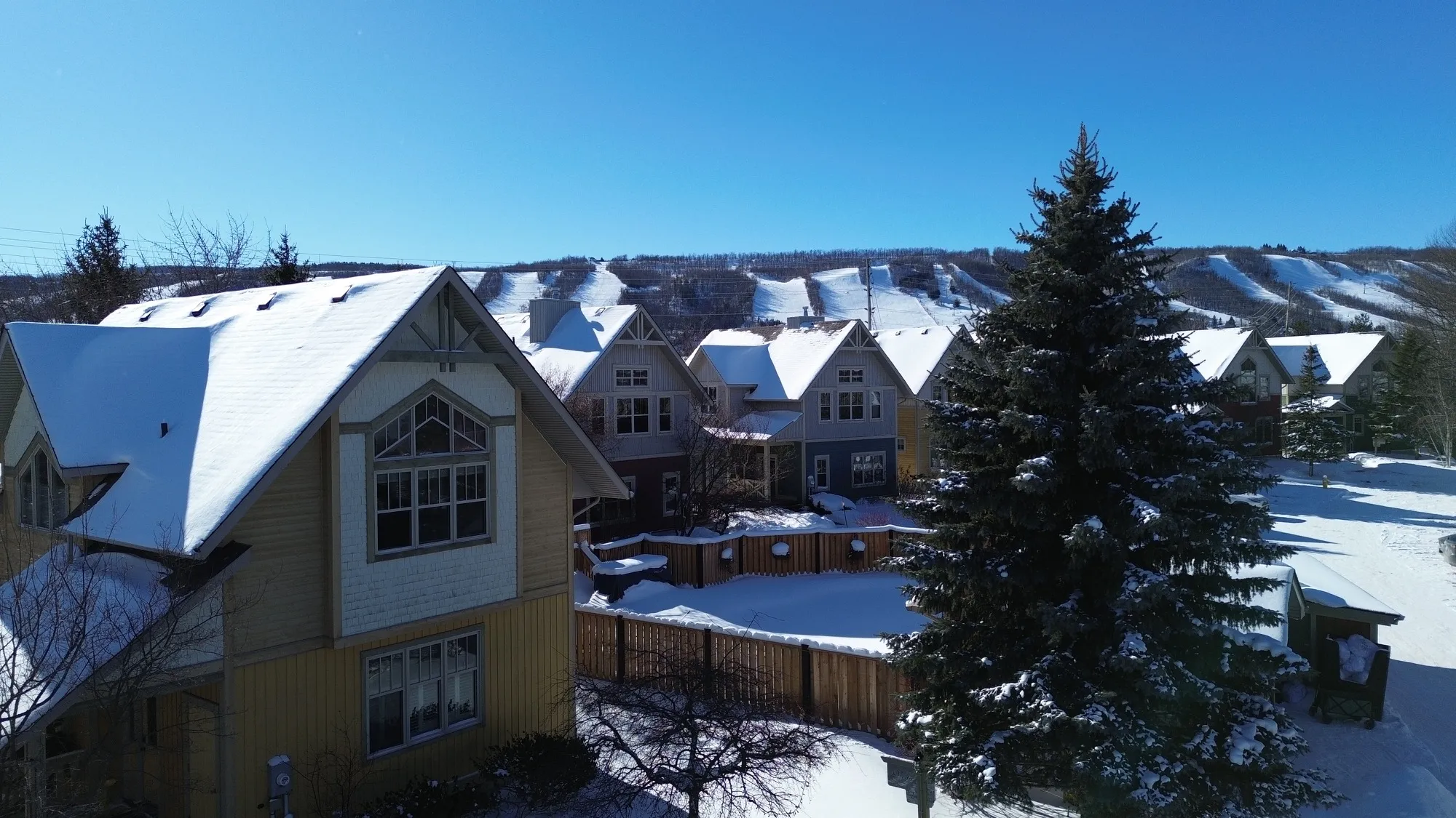 The Luna aerial view of Blue Mountain village and ski slopes - Blue Mountain chalet